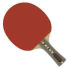 RAQ. DONIC WALDNER ALLPLAY Bluefire M3 2,0