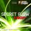 0001405a - REV. SECRET FLOW CHOP
